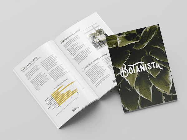 Brochure Zotello creative work